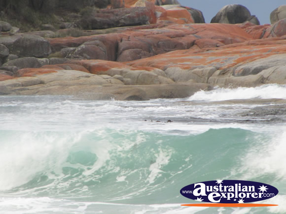 Surf at Bay of Fires . . . CLICK TO VIEW ALL BAY OF FIRES POSTCARDS
