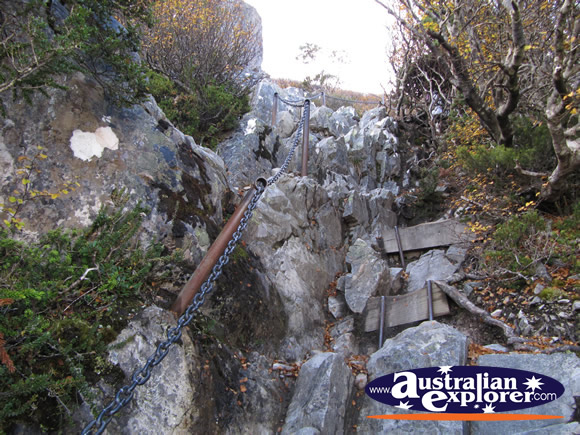 Cradle Mountain Track . . . VIEW ALL CRADLE MOUNTAIN PHOTOGRAPHS