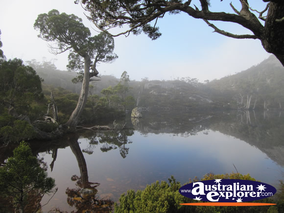 Cradle Mountain Wombat Pool . . . CLICK TO VIEW ALL CRADLE MOUNTAIN POSTCARDS