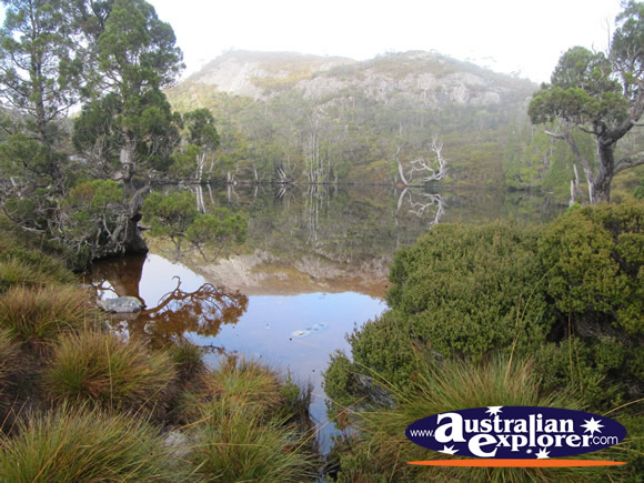 Wombat Pool at Cradle Mountain  . . . CLICK TO VIEW ALL CRADLE MOUNTAIN POSTCARDS