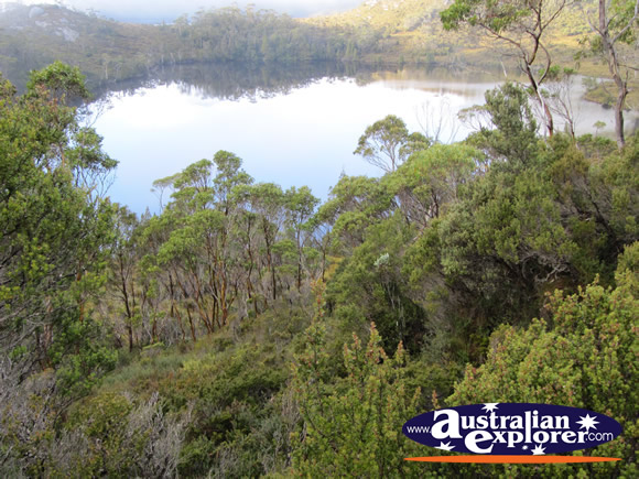 The Wombat Pool Cradle Mountain  . . . CLICK TO VIEW ALL CRADLE MOUNTAIN POSTCARDS