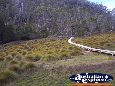 Cradle Mountain Landscape . . . VIEW ALL CRADLE MOUNTAIN PHOTOGRAPHS