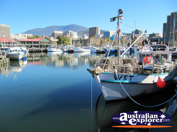 Victoria Dock in Hobart . . . VIEW ALL HOBART PHOTOGRAPHS