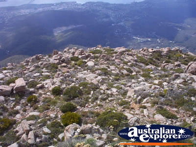 View from Mount Wellington of Hobart . . . CLICK TO VIEW ALL MOUNT WELLINGTON POSTCARDS