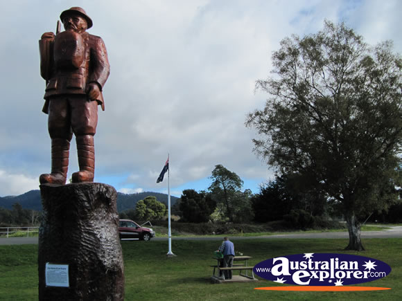 John Charles Earnest Risley Memorial Tree . . . VIEW ALL LEGERWOOD PHOTOGRAPHS