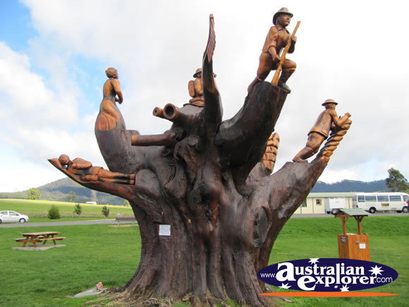 Robert James Jenkins Memorial Tree . . . VIEW ALL LEGERWOOD PHOTOGRAPHS