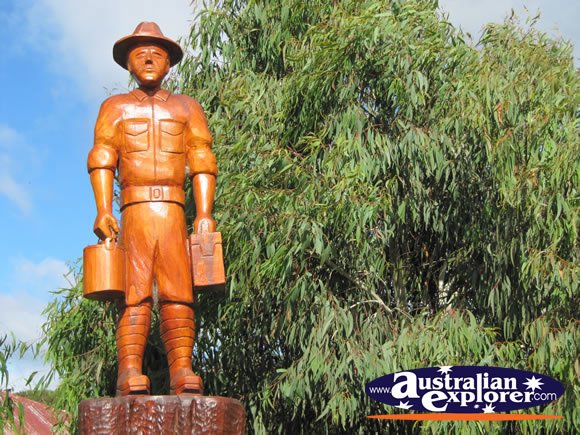 The Gallipoli Tree . . . VIEW ALL LEGERWOOD PHOTOGRAPHS