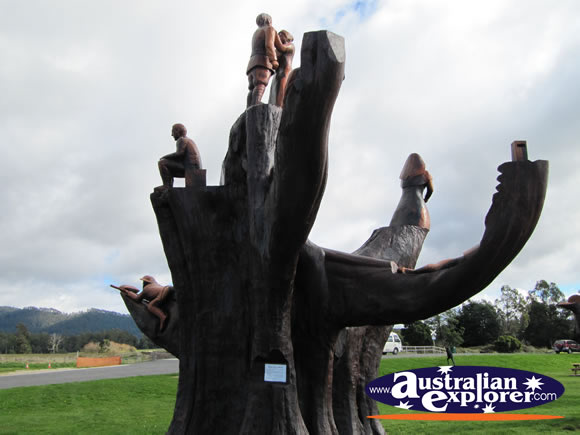 Thomas Edward Edwards Memorial Tree . . . VIEW ALL LEGERWOOD PHOTOGRAPHS