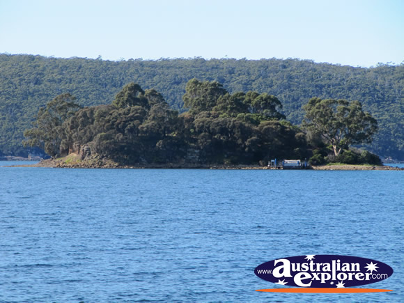 View of Isle of the Dead . . . VIEW ALL PORT ARTHUR PHOTOGRAPHS