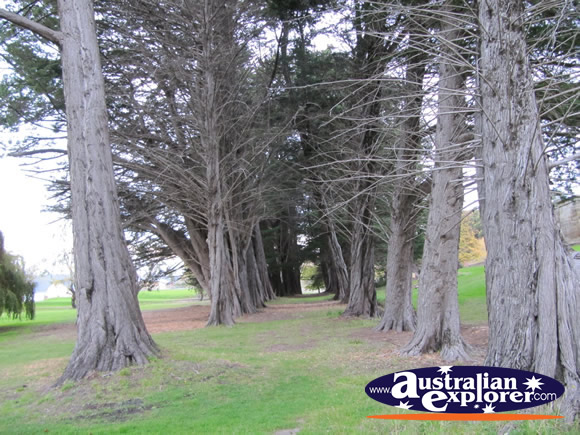 Soldiers Memorial Avenue . . . VIEW ALL PORT ARTHUR PHOTOGRAPHS