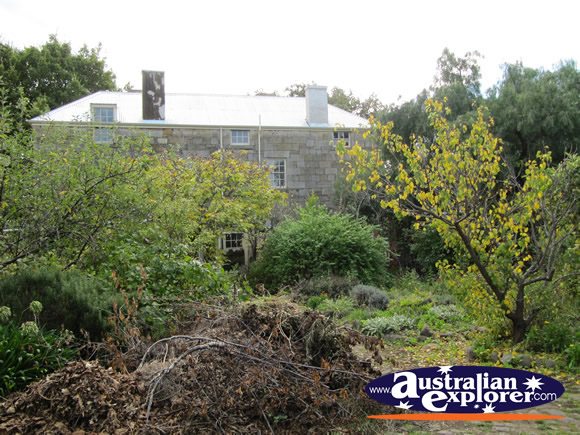 Backyard at Oak Lodge  . . . VIEW ALL RICHMOND PHOTOGRAPHS