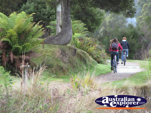 Cycling . . . VIEW ALL STRAHAN PHOTOGRAPHS