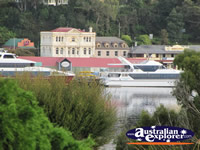 Gordon River Cruise Vessels . . . CLICK TO ENLARGE