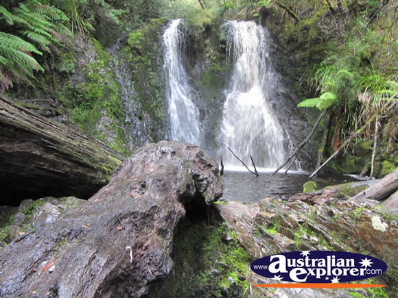 View of Hogarth Falls . . . VIEW ALL STRAHAN PHOTOGRAPHS