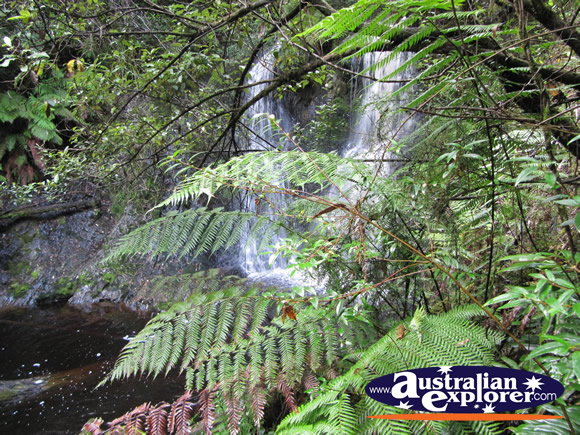 Hogarth Falls in Strahan . . . VIEW ALL STRAHAN PHOTOGRAPHS