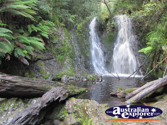 Hogarth Falls . . . VIEW ALL STRAHAN PHOTOGRAPHS