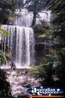 Tasmania Russell Falls . . . CLICK TO VIEW ALL SOUTHWEST NATIONAL PARK POSTCARDS