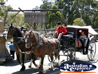 Ballarat Sovereign Hill Horse and Cart Ride . . . CLICK TO ENLARGE