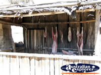 Hanging Meat at Ballarat Sovereign Hill . . . CLICK TO ENLARGE