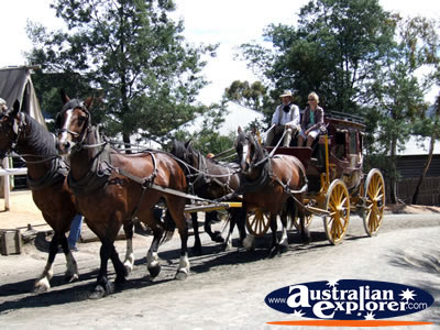 Horse and Cart at Ballarat Sovereign Hill . . . VIEW ALL BALLARAT PHOTOGRAPHS