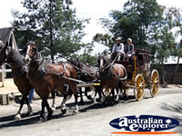 Horse and Cart at Ballarat Sovereign Hill . . . CLICK TO ENLARGE