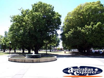 Colac Park . . . VIEW ALL COLAC PHOTOGRAPHS