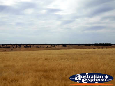 Landscape between Casterton & Edenhope . . . VIEW ALL EDENHOPE PHOTOGRAPHS