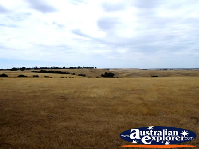 Scenery between Casterton & Edenhope . . . CLICK TO VIEW ALL EDENHOPE POSTCARDS