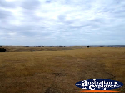 Landscape between Edenhope and Casterton  . . . CLICK TO VIEW ALL EDENHOPE POSTCARDS