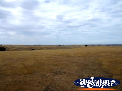 Landscape between Edenhope and Casterton . . . VIEW ALL EDENHOPE PHOTOGRAPHS