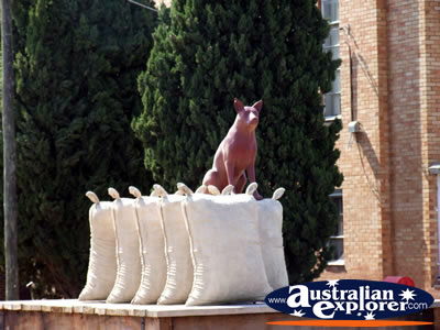 Warracknabeal Statue . . . VIEW ALL WARRACKNABEAL PHOTOGRAPHS
