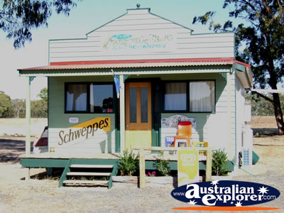 General Store in Old Dadswell Town . . . CLICK TO VIEW ALL DADSWELLS BRIDGE POSTCARDS