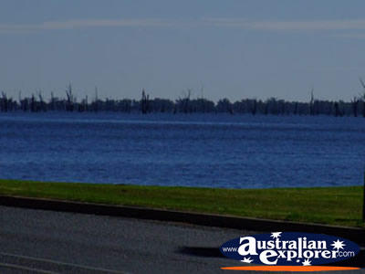 Yarrawonga Wetlands . . . VIEW ALL YARRAWONGA PHOTOGRAPHS
