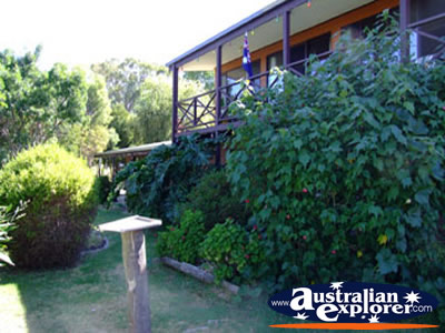 Yackandandah Beaumont B & B Outdoors . . . VIEW ALL YACKANDANDAH PHOTOGRAPHS