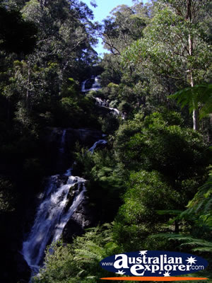 Marysville Steavenson Falls View . . . CLICK TO VIEW ALL MARYSVILLE POSTCARDS