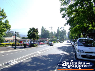 View Down Healesville Street . . . VIEW ALL HEALESVILLE PHOTOGRAPHS