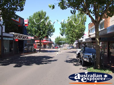 View down Hamilton Street . . . VIEW ALL HAMILTON PHOTOGRAPHS