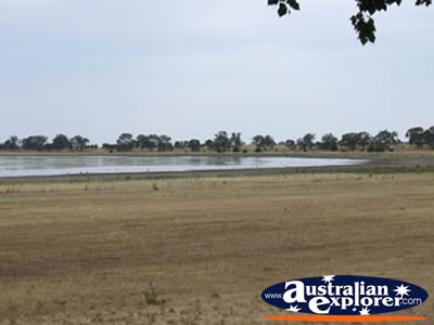 View of Edenhope Lake Wallace . . . CLICK TO VIEW ALL EDENHOPE POSTCARDS