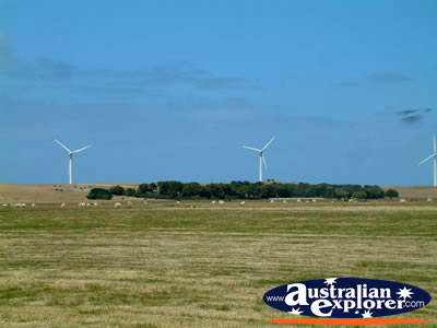 Codrington Wind Farm on way to Port Fairy . . . CLICK TO VIEW ALL CODRINGTON POSTCARDS