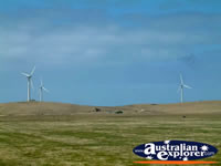 Codrington Wind Farm Windmills . . . CLICK TO ENLARGE