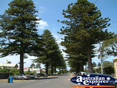 Port Fairy Side Street . . . CLICK TO VIEW ALL PORT FAIRY POSTCARDS