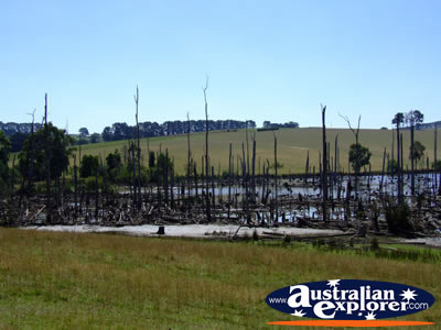 Roadside View on Road to Morwell . . . VIEW ALL MORWELL PHOTOGRAPHS