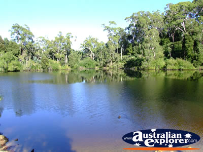 Daylesford Jubilee Lake . . . CLICK TO VIEW ALL DAYLESFORD POSTCARDS