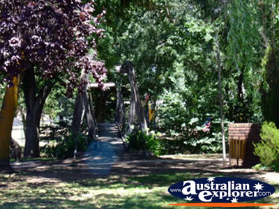 Alexandra Footbridge . . . VIEW ALL ALEXANDRA PHOTOGRAPHS