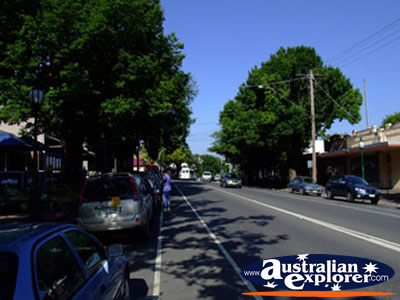 Healesville Street . . . CLICK TO VIEW ALL HEALESVILLE POSTCARDS