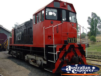 Maldon RedTrain . . . VIEW ALL MALDON PHOTOGRAPHS