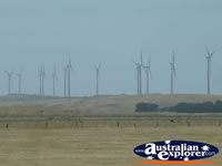 Codrington Wind Farm . . . CLICK TO ENLARGE