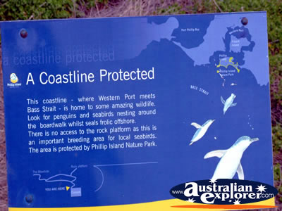 Phillip Island Notice . . . VIEW ALL PHILLIP ISLAND PHOTOGRAPHS