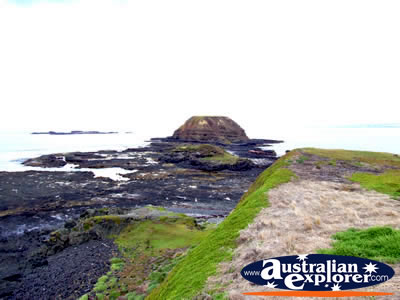 Landscape of Phillip Island from the Nobbies . . . CLICK TO VIEW ALL PHILLIP ISLAND POSTCARDS