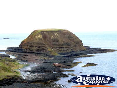 Phillip Island View from the Nobbies . . . CLICK TO VIEW ALL PHILLIP ISLAND POSTCARDS